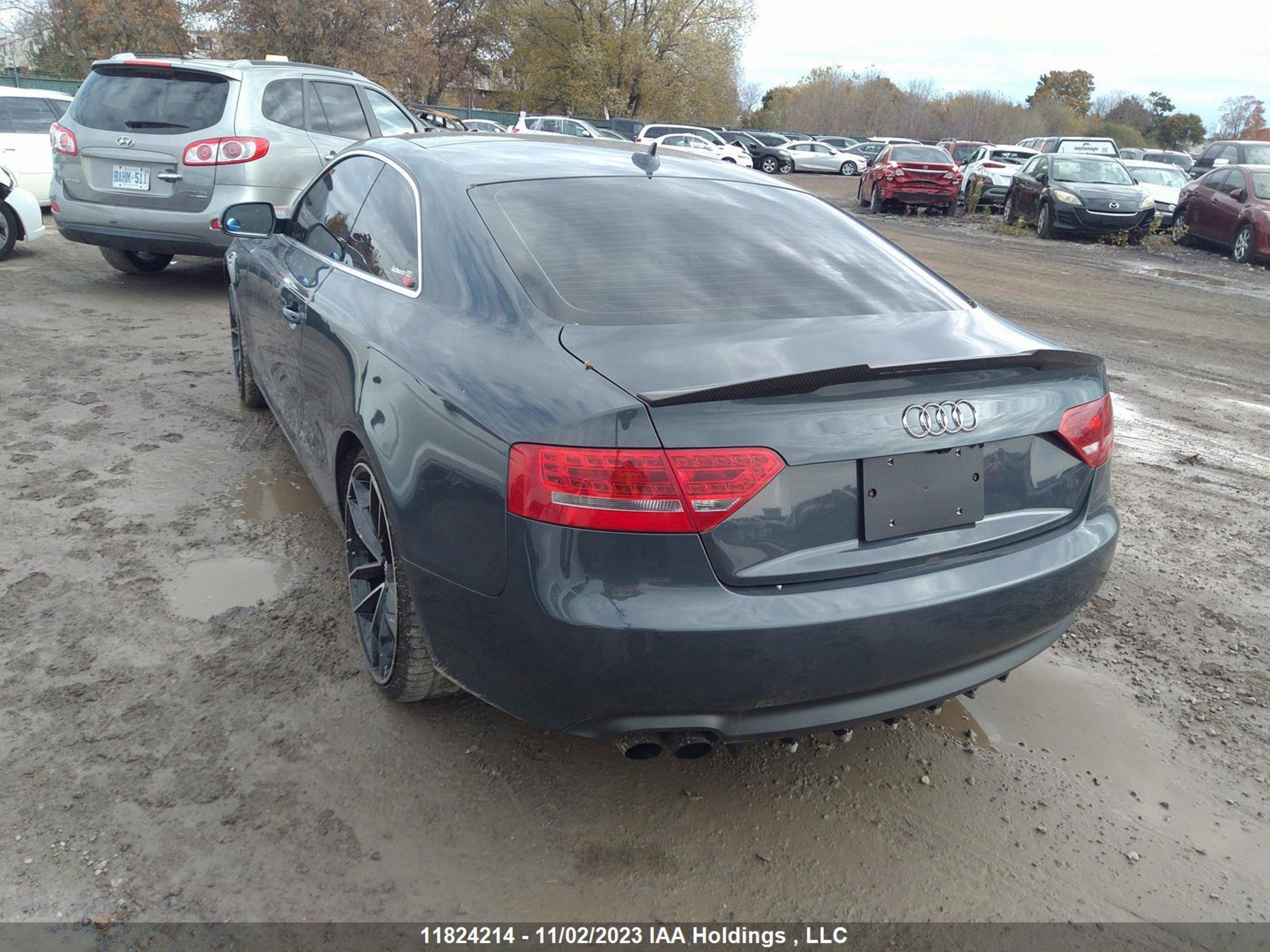 Photo 2 VIN: WAULFBFRXAA008841 - AUDI A5 