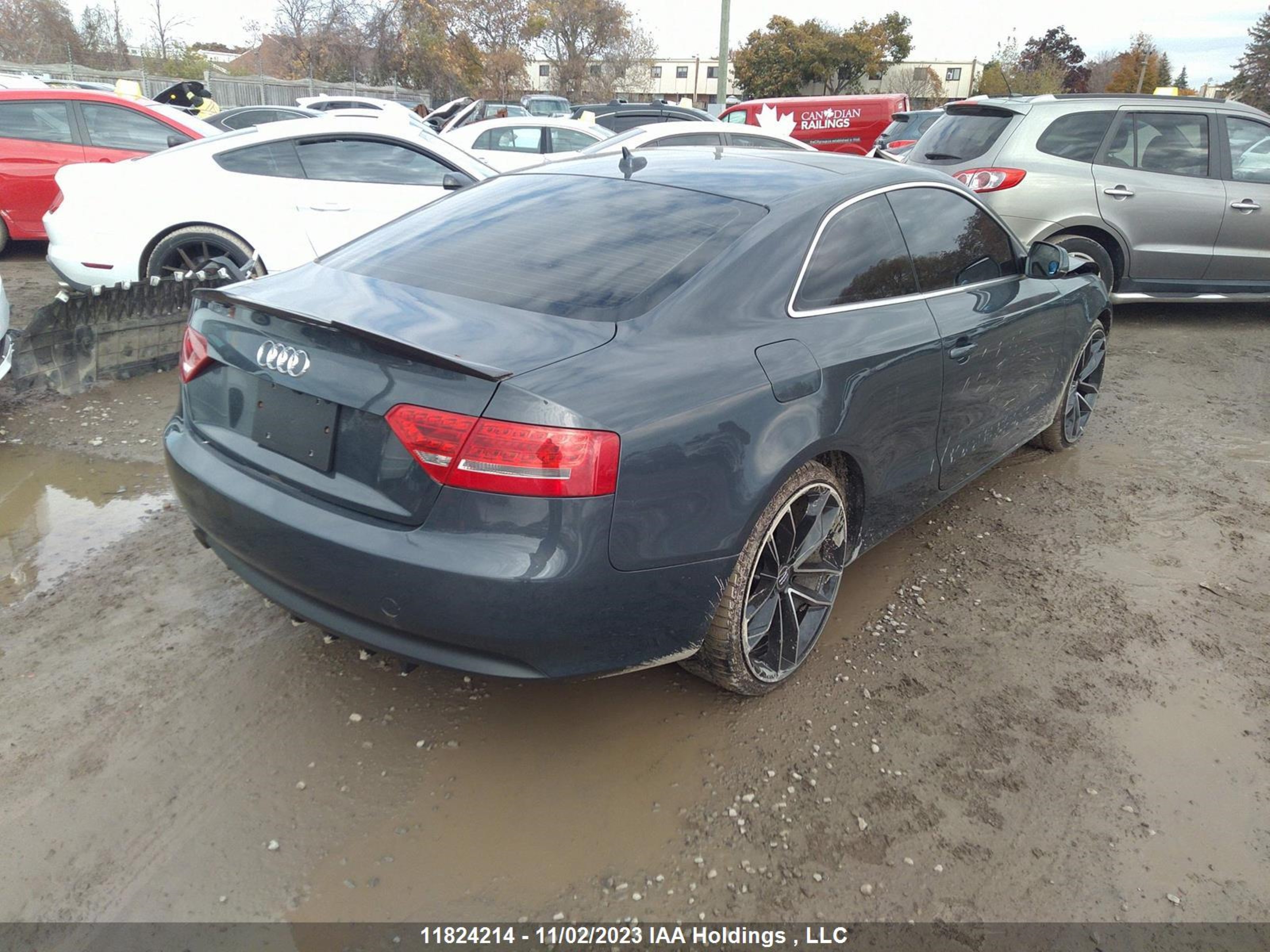 Photo 3 VIN: WAULFBFRXAA008841 - AUDI A5 