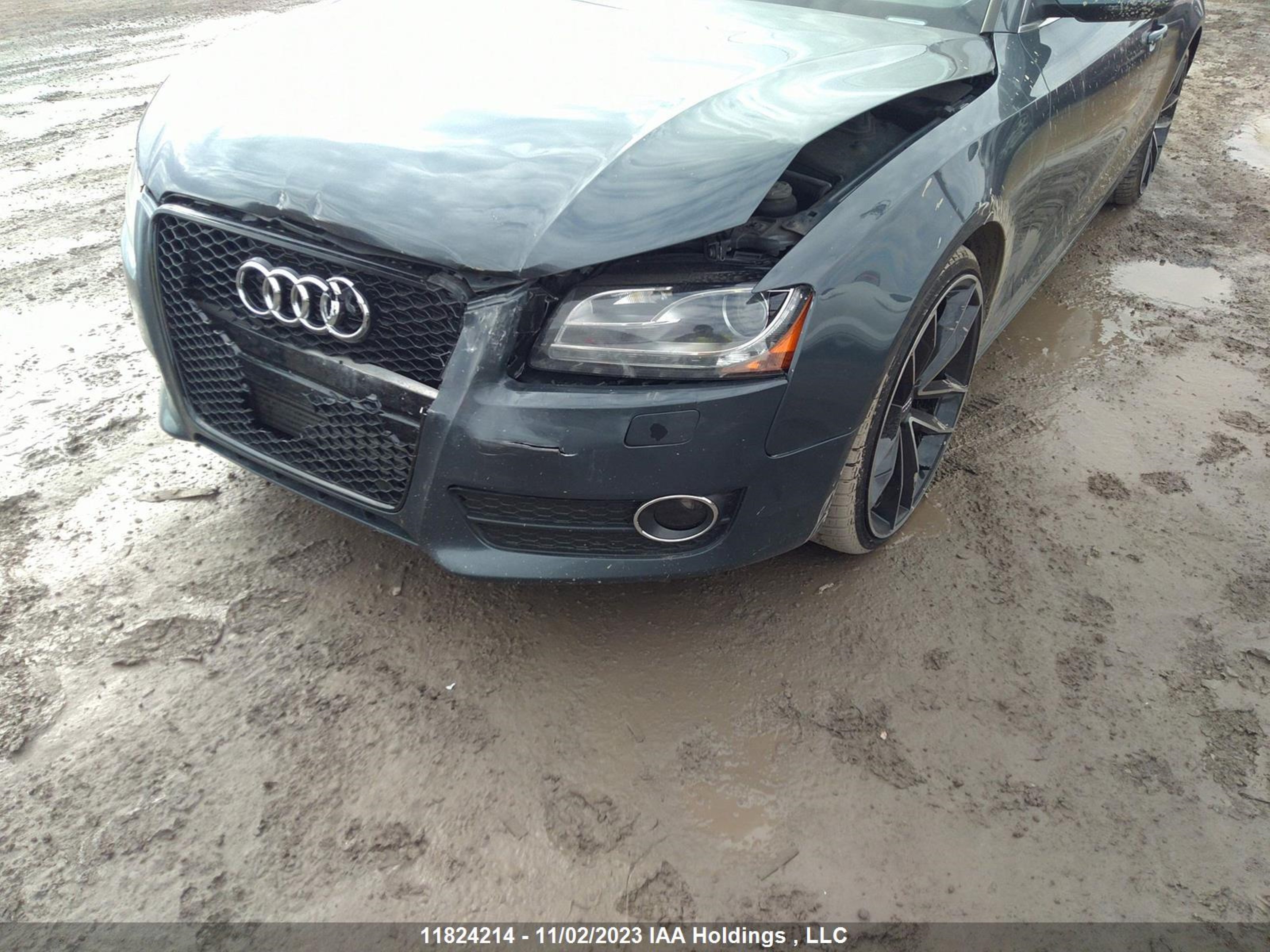 Photo 5 VIN: WAULFBFRXAA008841 - AUDI A5 