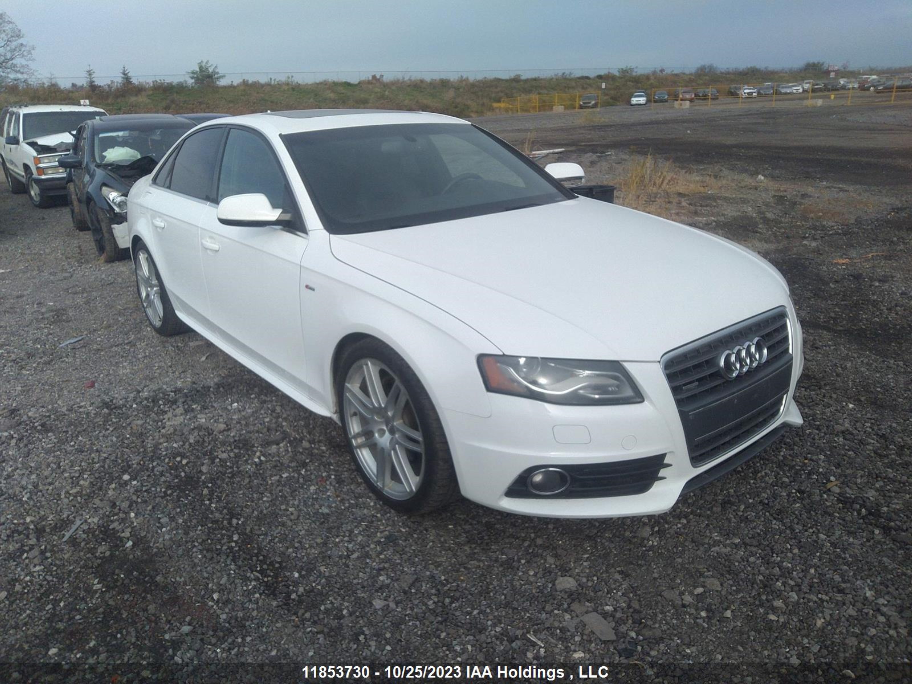 Photo 0 VIN: WAUMFCFL1CN004310 - AUDI A4 