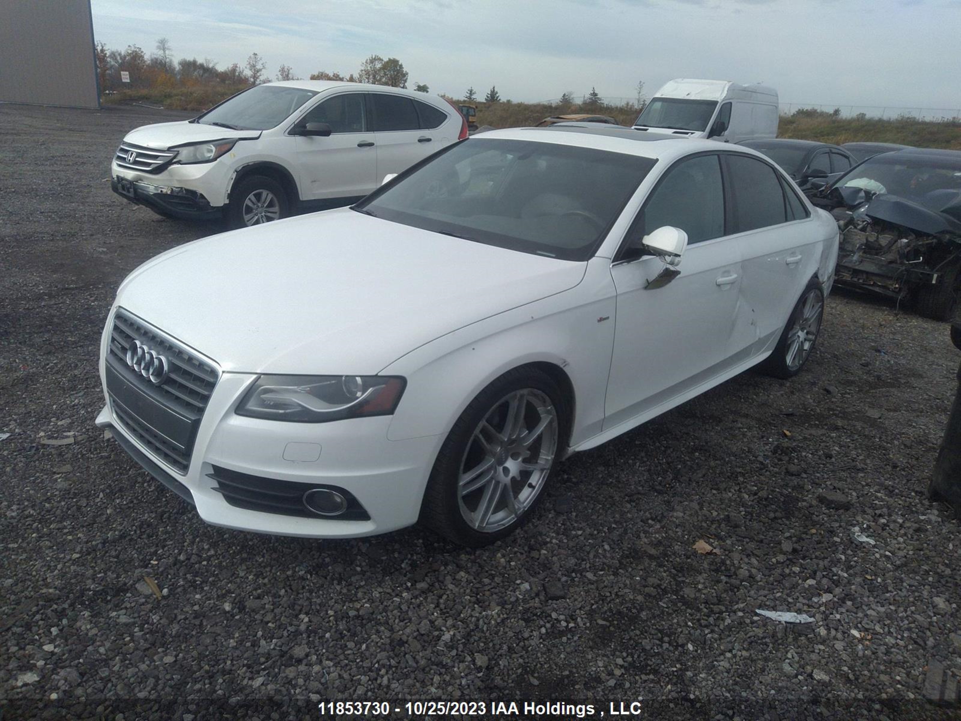 Photo 1 VIN: WAUMFCFL1CN004310 - AUDI A4 