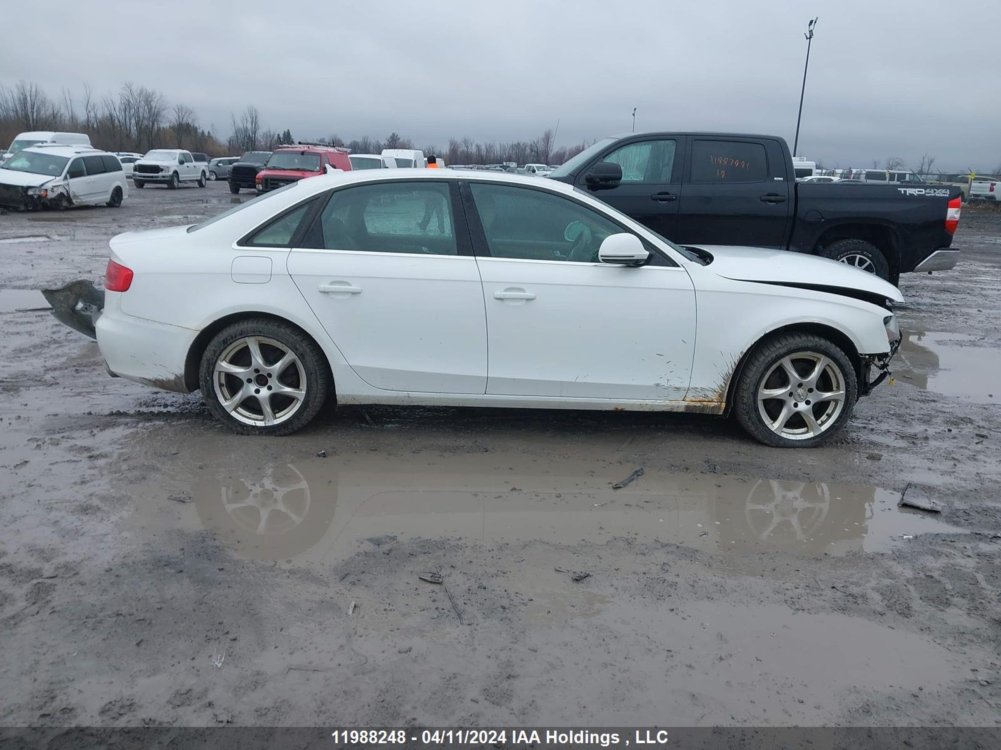 Photo 13 VIN: WAUMK78KX9N044921 - AUDI A4 