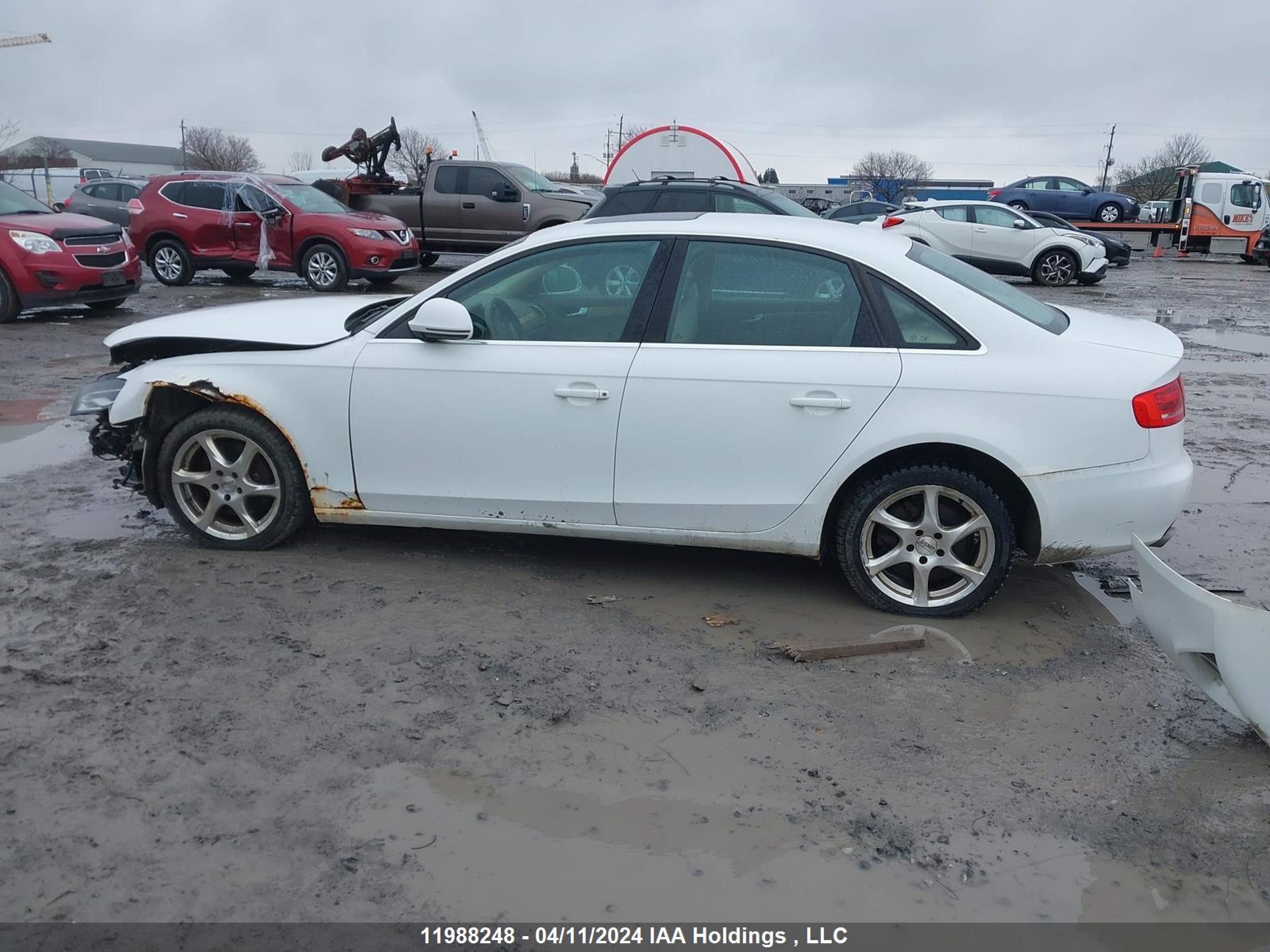 Photo 14 VIN: WAUMK78KX9N044921 - AUDI A4 