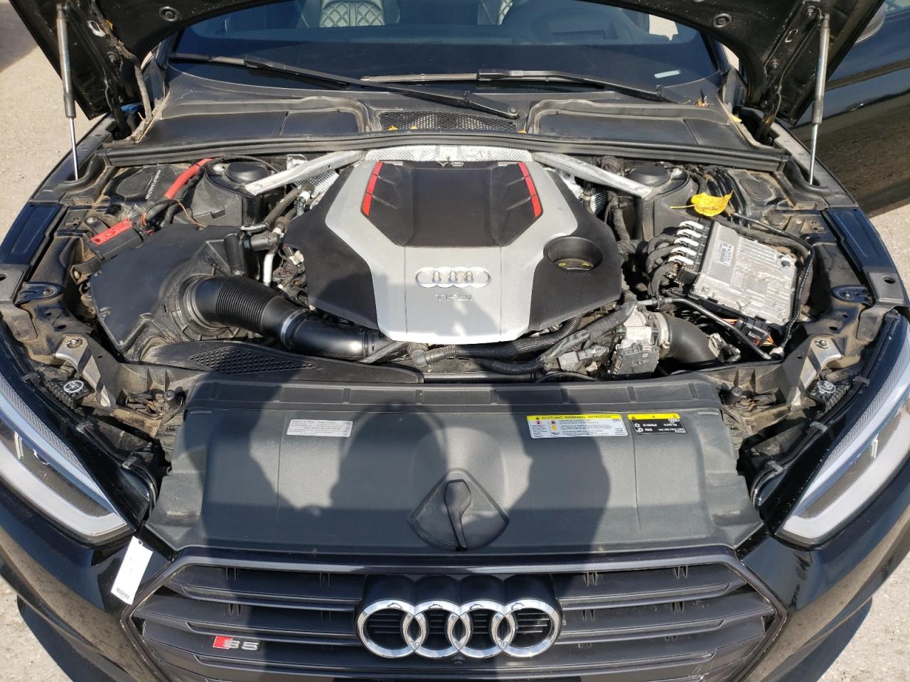 Photo 10 VIN: WAUR4AF53KA062748 - AUDI RS5 