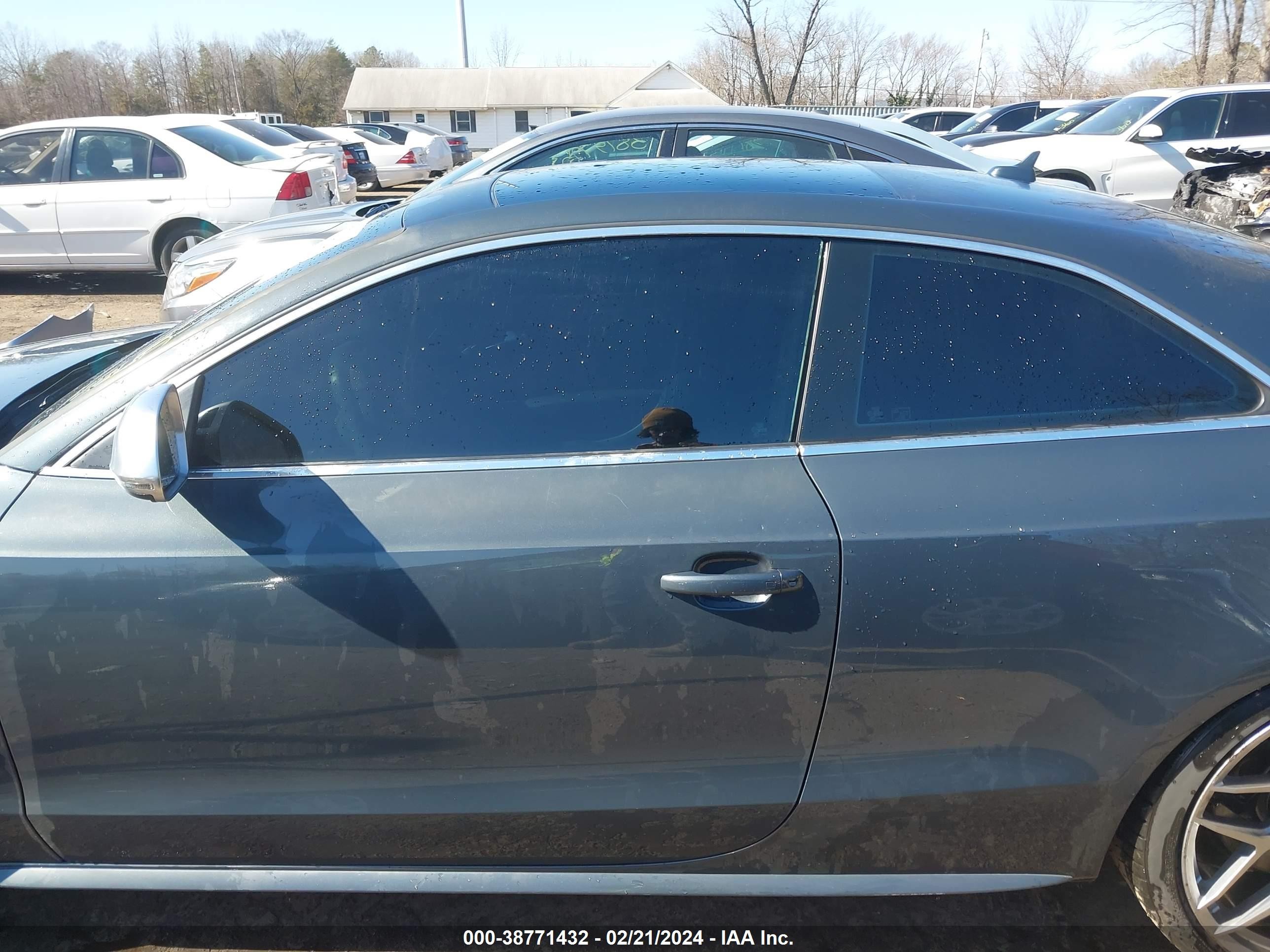 Photo 13 VIN: WAURV78T79A016524 - AUDI S5 