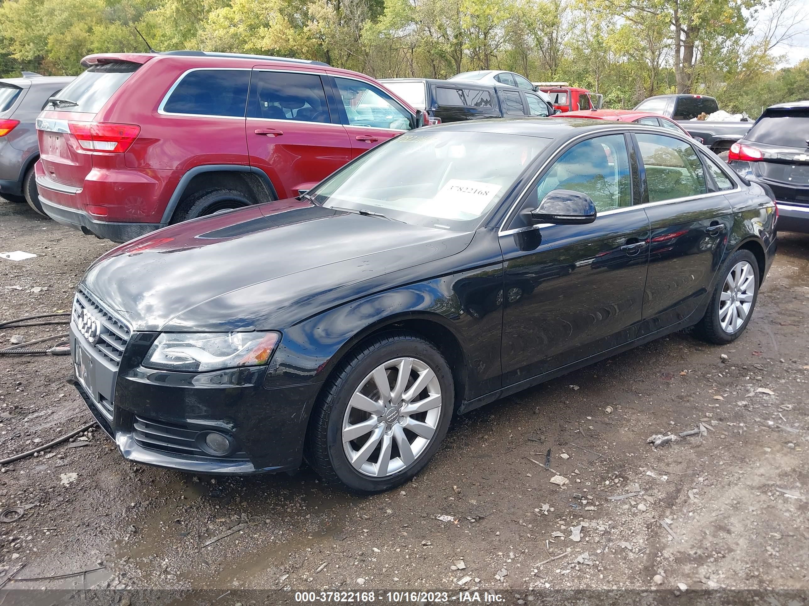 Photo 1 VIN: WAUSF78K09A098702 - AUDI A4 