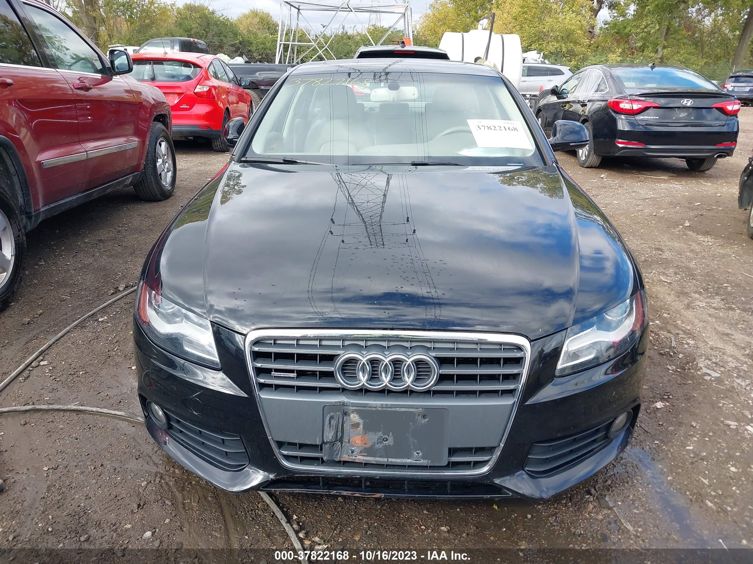 Photo 11 VIN: WAUSF78K09A098702 - AUDI A4 