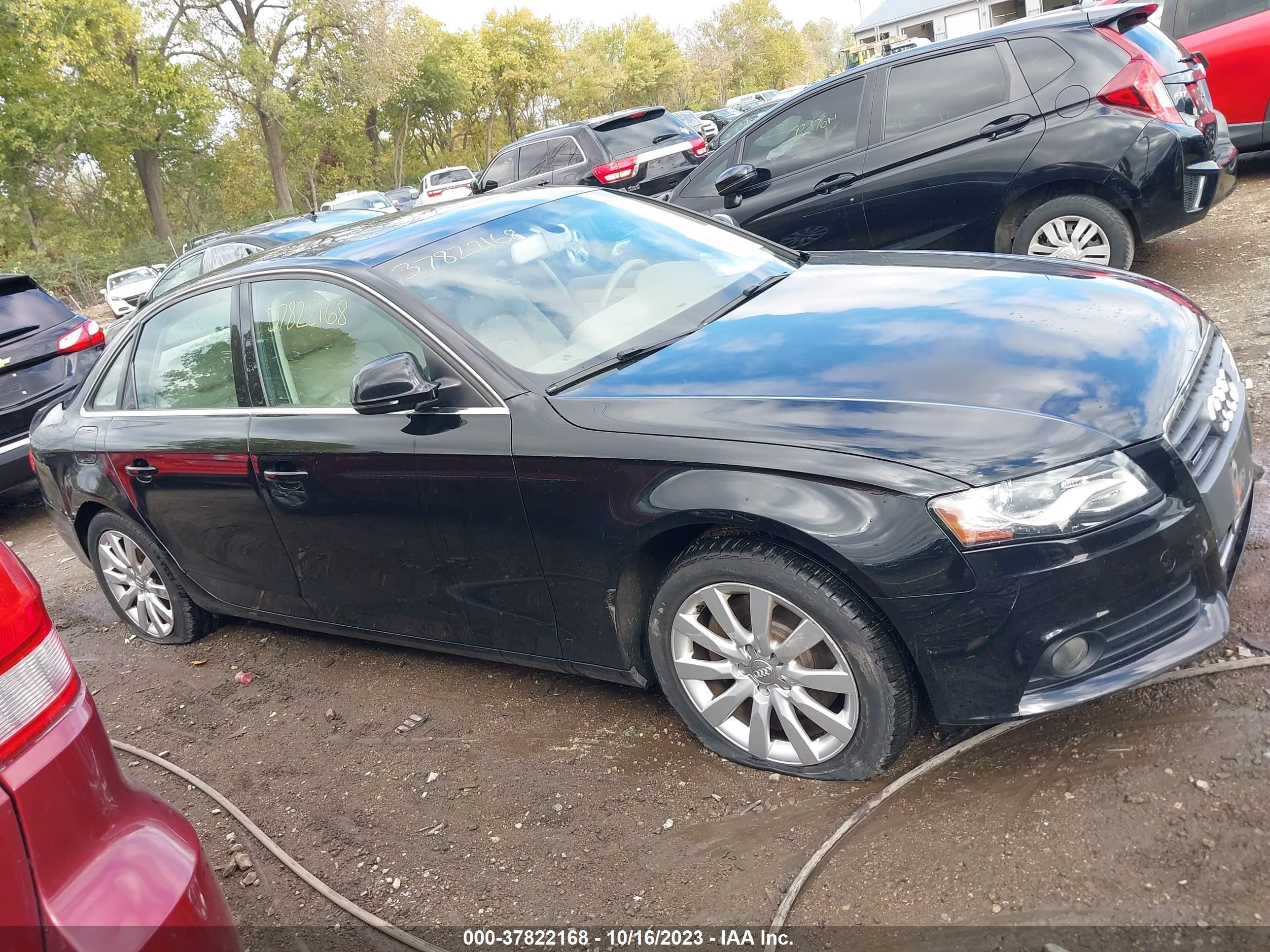 Photo 12 VIN: WAUSF78K09A098702 - AUDI A4 