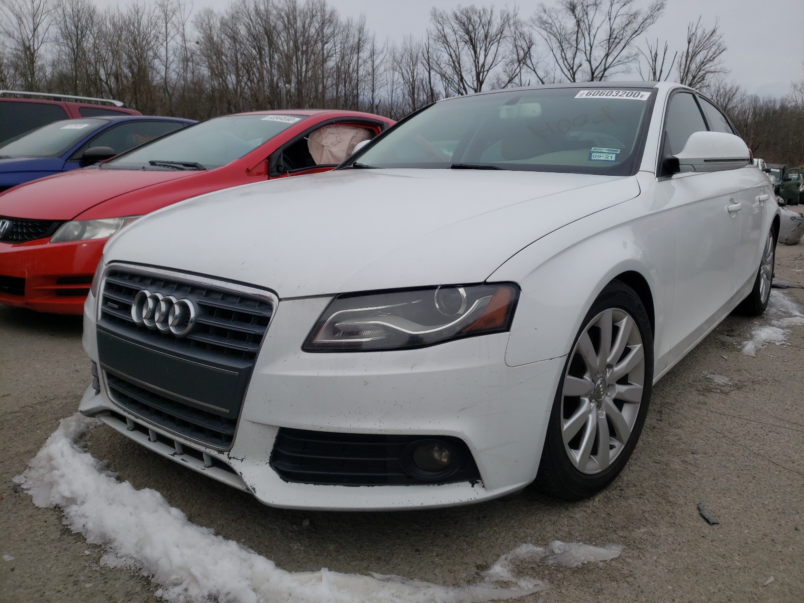 Photo 1 VIN: WAUSF78K59N018576 - AUDI A4 PREMIUM 