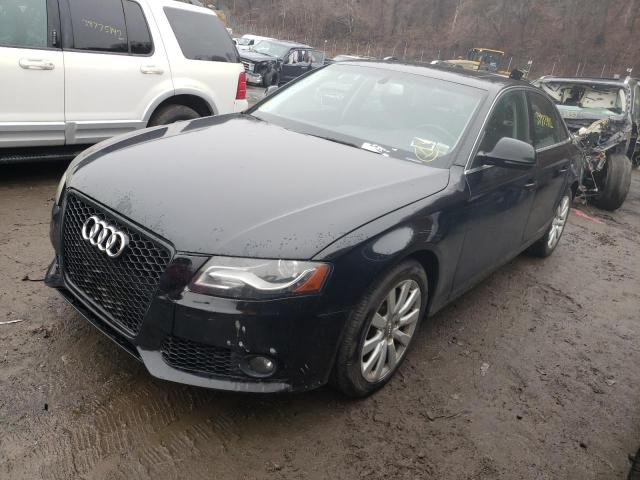 Photo 1 VIN: WAUSF78K99N045344 - AUDI A4 PREMIUM 