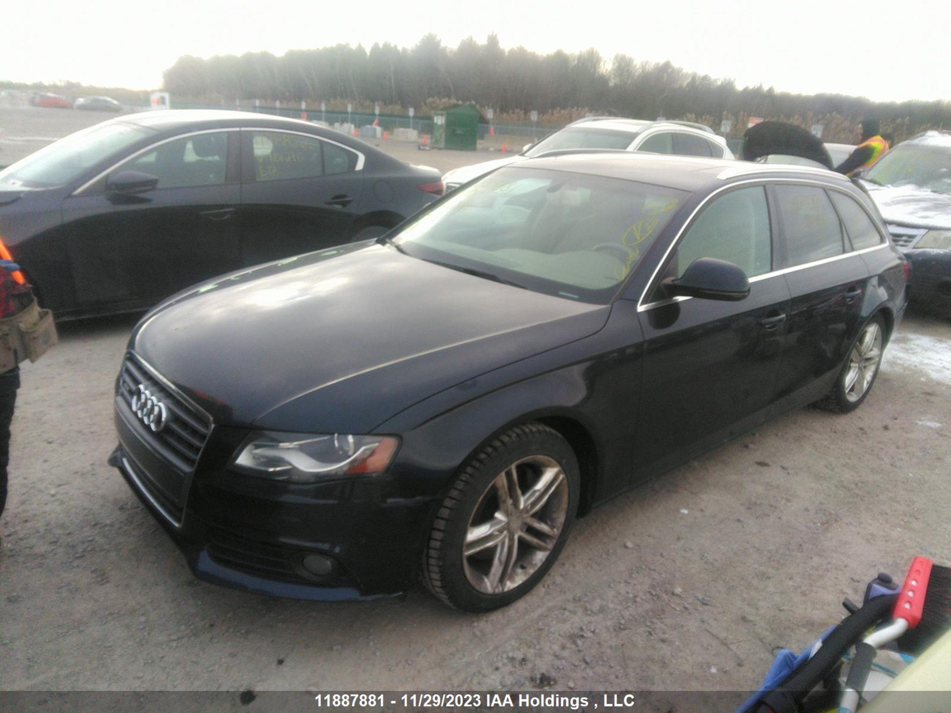 Photo 1 VIN: WAUVF68K49A180441 - AUDI A4 