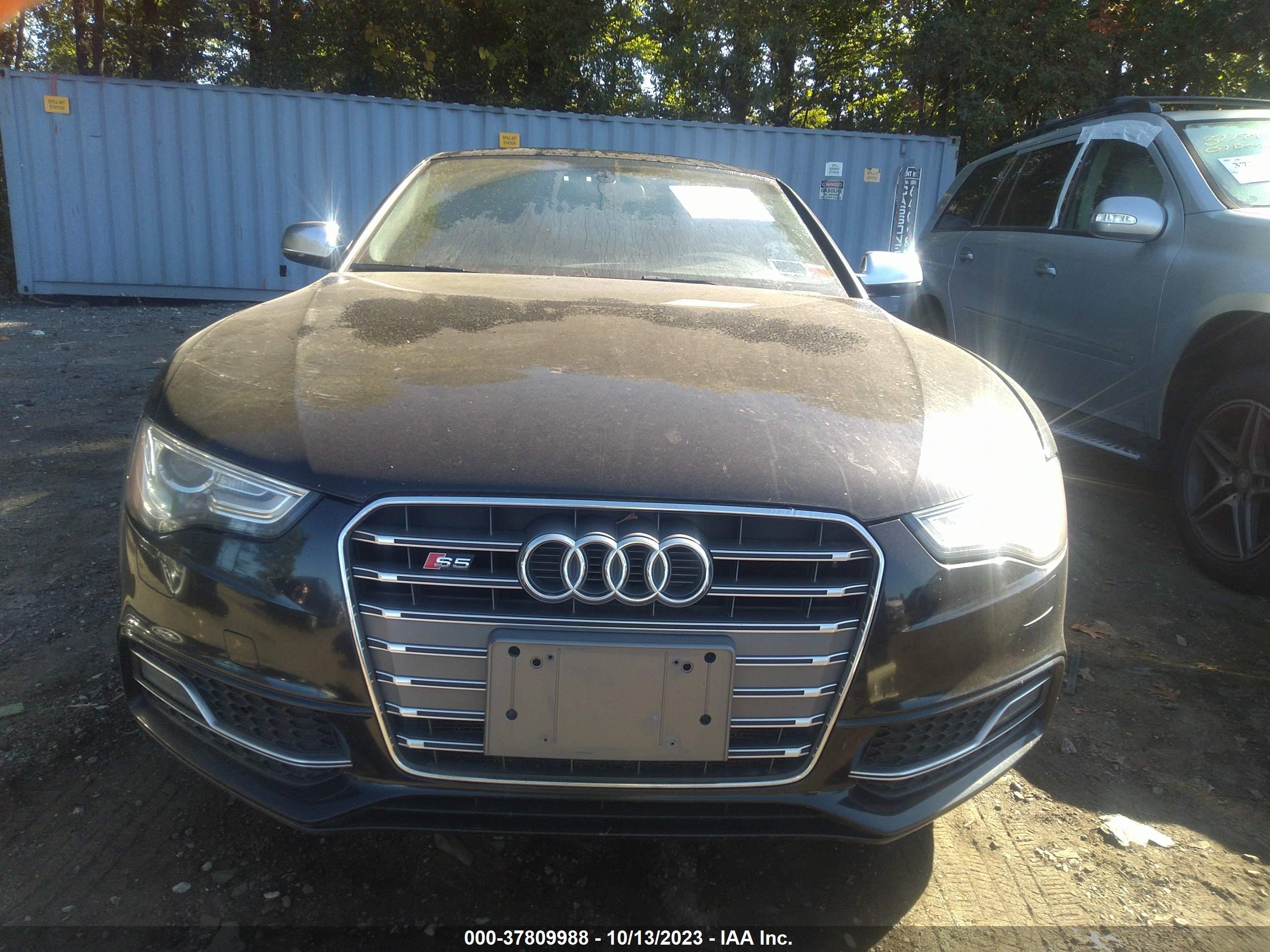 Photo 11 VIN: WAUVGAFRXDA002154 - AUDI S5 