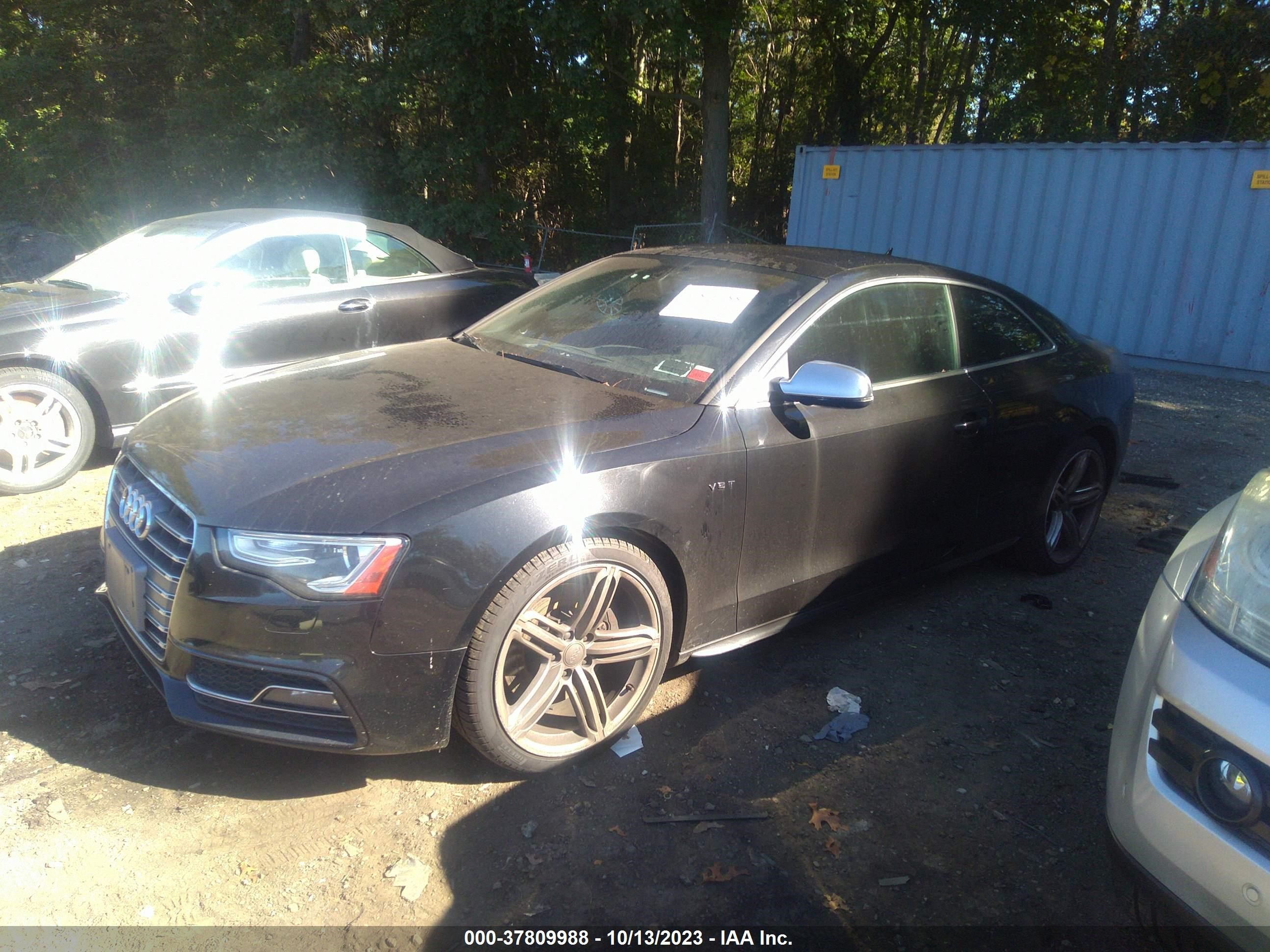 Photo 13 VIN: WAUVGAFRXDA002154 - AUDI S5 