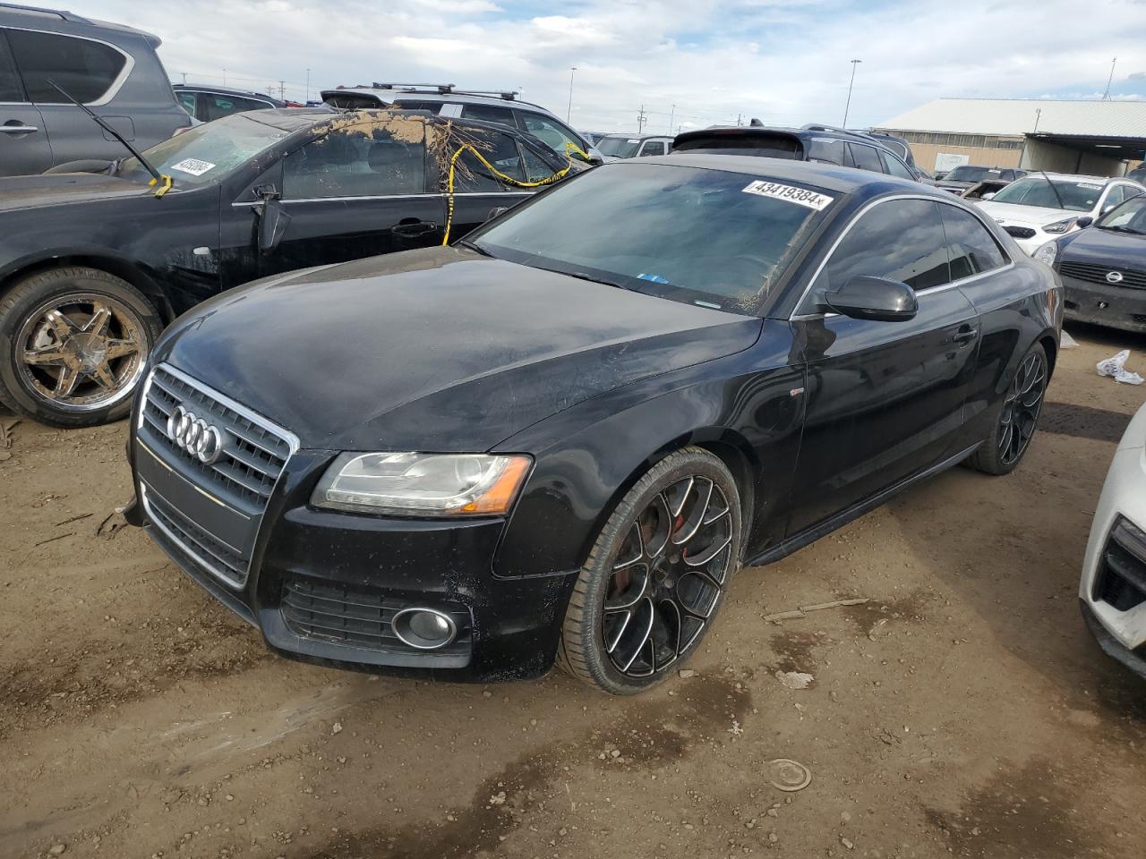 Photo 0 VIN: WAUWFAFR0AA035148 - AUDI A5 