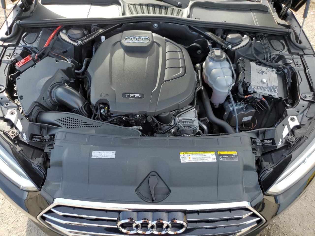 Photo 12 VIN: WAUYNGF54KN010260 - AUDI A5 