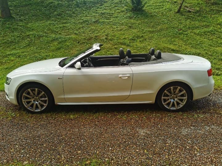 Photo 13 VIN: WAUZZZ8F4AN020862 - AUDI A5 CABRIOLET 