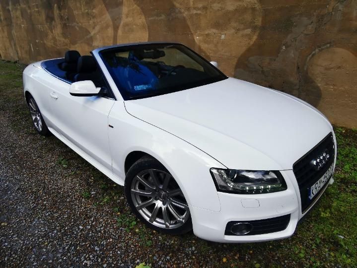 Photo 19 VIN: WAUZZZ8F4AN020862 - AUDI A5 CABRIOLET 