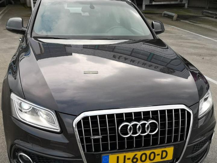 Photo 17 VIN: WAUZZZ8RXGA106400 - AUDI Q5 