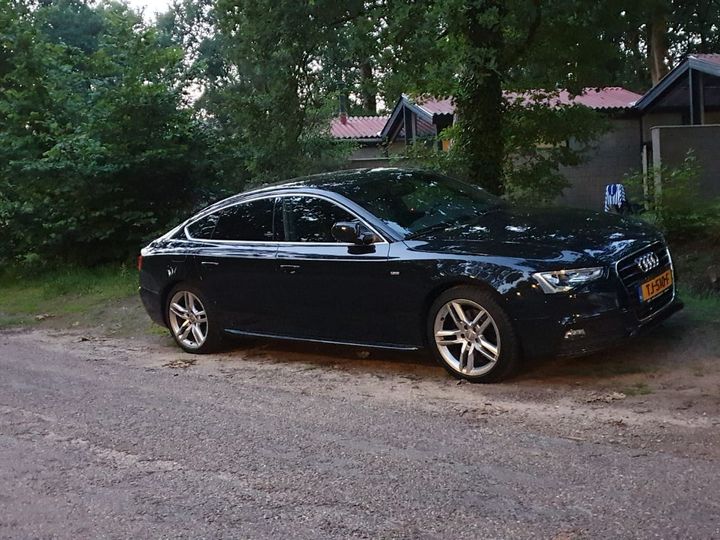 Photo 4 VIN: WAUZZZ8T1EA066040 - AUDI A5 SPORTBACK 