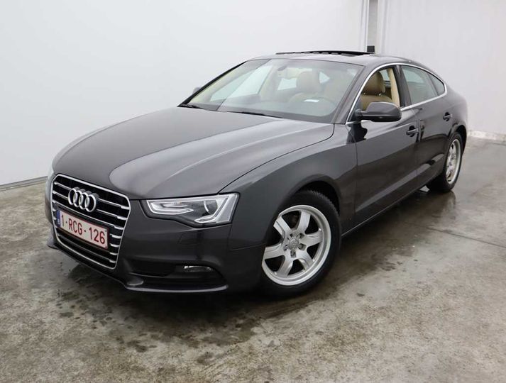 Photo 1 VIN: WAUZZZ8T2GA072013 - AUDI A5 SB &#3909 