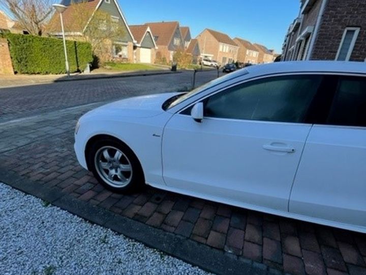 Photo 9 VIN: WAUZZZ8T6DA044405 - AUDI A5 SPORTBACK 