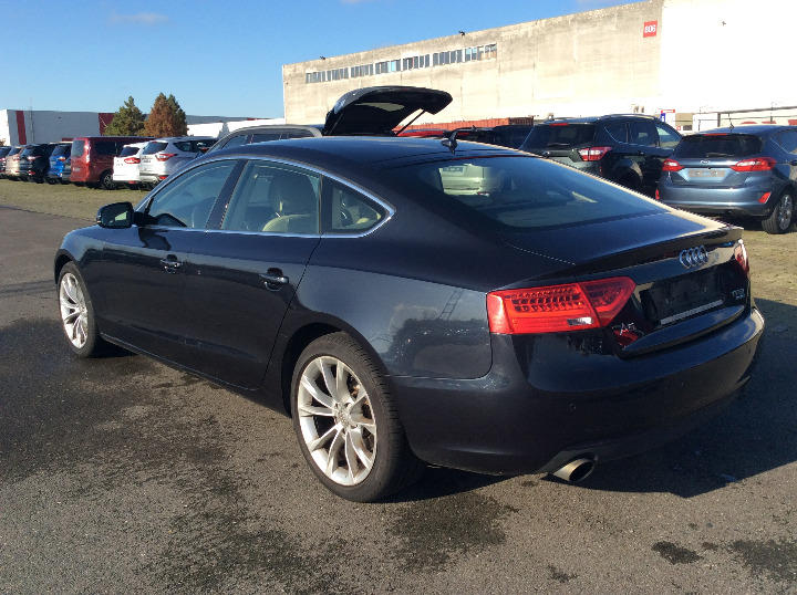 Photo 4 VIN: WAUZZZ8TXFA015668 - AUDI A5 SPORTBACK 