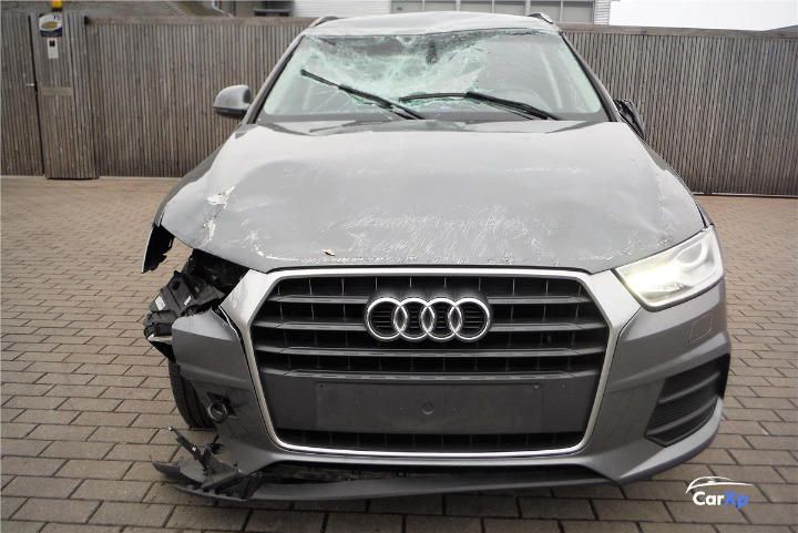 Photo 10 VIN: WAUZZZ8UXHR067430 - AUDI Q3 SUV 