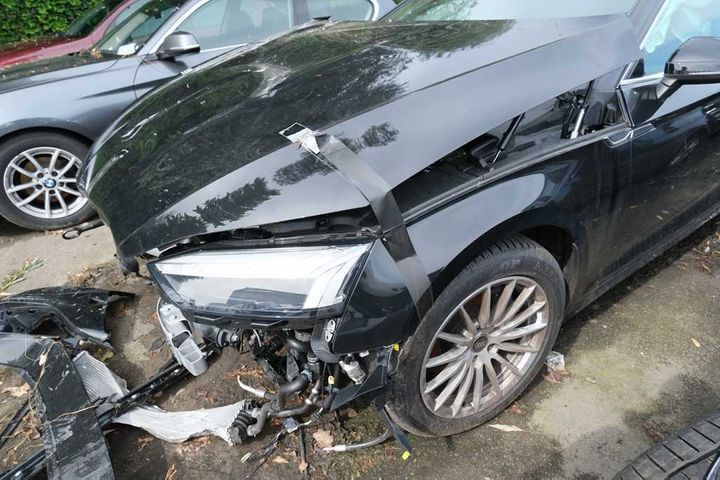 Photo 32 VIN: WAUZZZF54MA028207 - AUDI A5 SB FL&#3920 