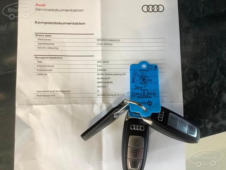 Photo 18 VIN: WAUZZZGE3PB003523 - AUDI E-TRON 