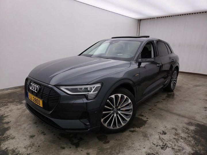 Photo 0 VIN: WAUZZZGE4LB014928 - AUDI E-TRON '19 BEV 