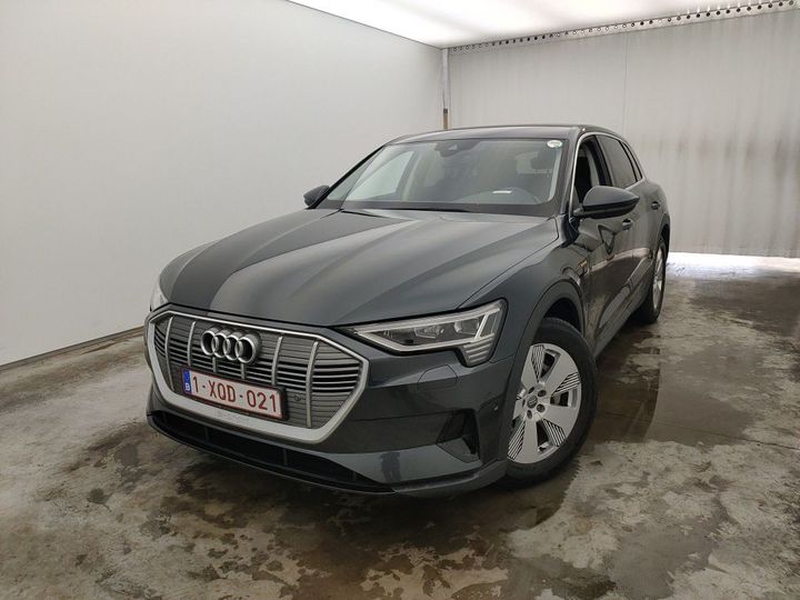 Photo 0 VIN: WAUZZZGE5LB025825 - AUDI E-TRON '19 BEV 