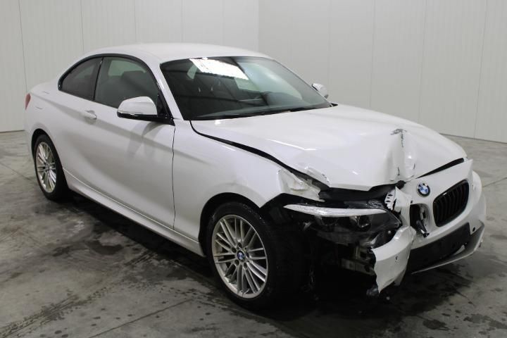 Photo 2 VIN: WBA11CK0607E26265 - BMW 2 SERIES COUPE 