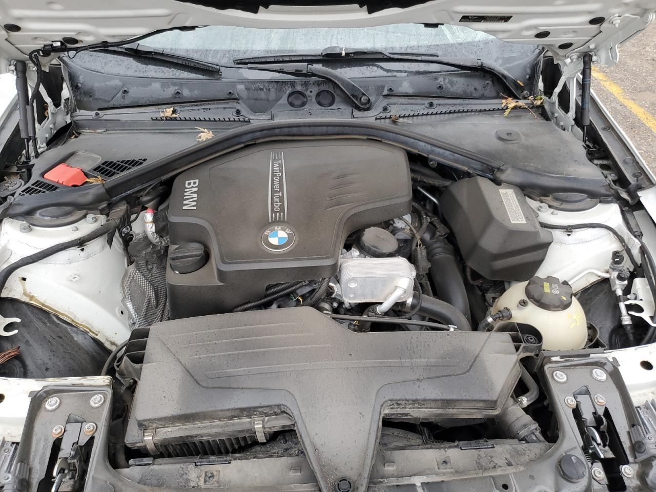 Photo 10 VIN: WBA1F5C50EV255777 - BMW 2ER 