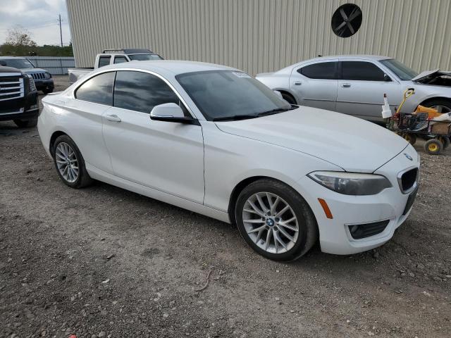 Photo 3 VIN: WBA1F5C50EV255830 - BMW 228 I 