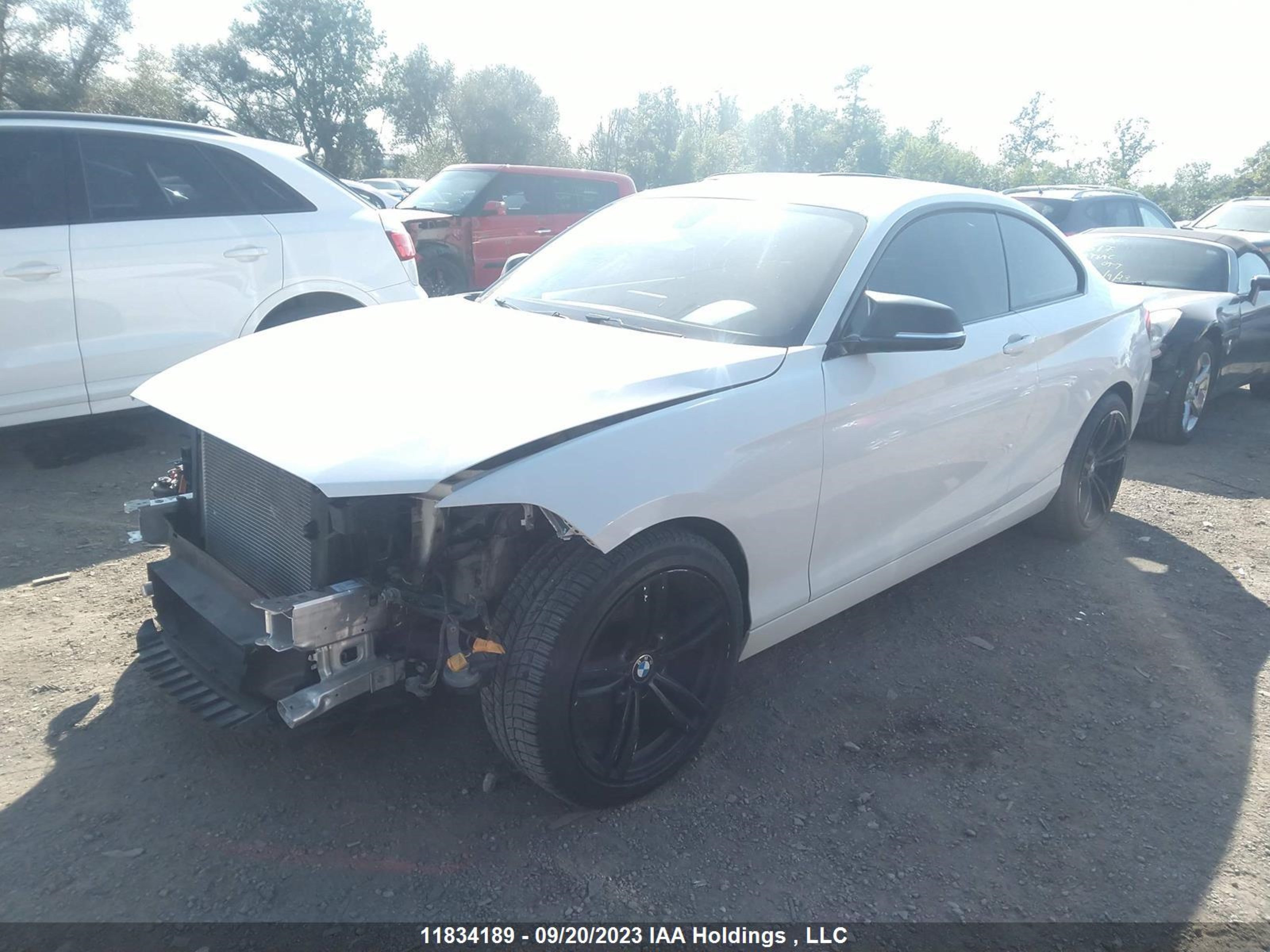 Photo 1 VIN: WBA1F5C50EV256007 - BMW 2ER 