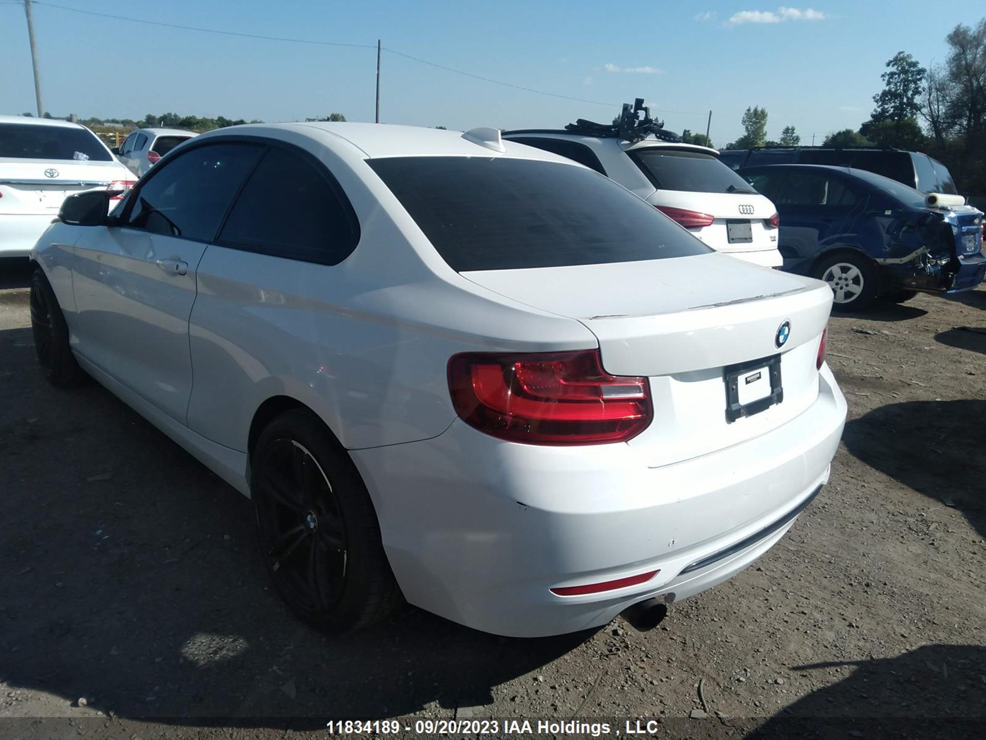 Photo 2 VIN: WBA1F5C50EV256007 - BMW 2ER 