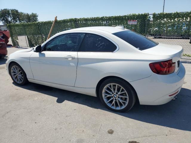 Photo 1 VIN: WBA1F5C50FV257045 - BMW 2 SERIES 