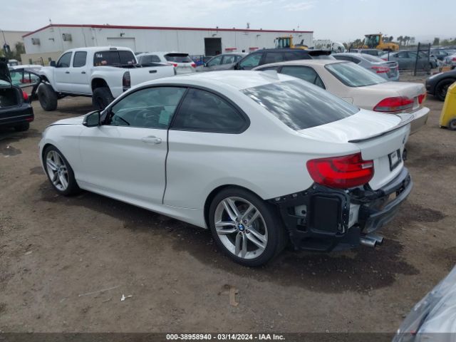 Photo 2 VIN: WBA1F5C51EV246098 - BMW 228I 