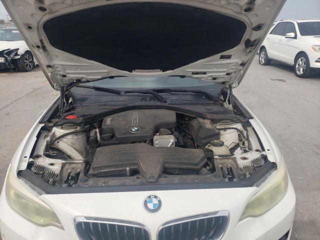 Photo 10 VIN: WBA1F5C51EVV99568 - BMW 2 SERIES 