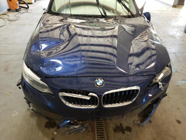 Photo 10 VIN: WBA1F5C51GV343790 - BMW 2 SERIES 