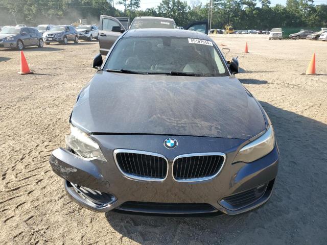 Photo 4 VIN: WBA1F5C53EVV99166 - BMW 2 SERIES 