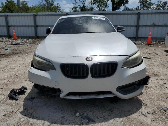 Photo 4 VIN: WBA1F5C54EV255457 - BMW 228 I 