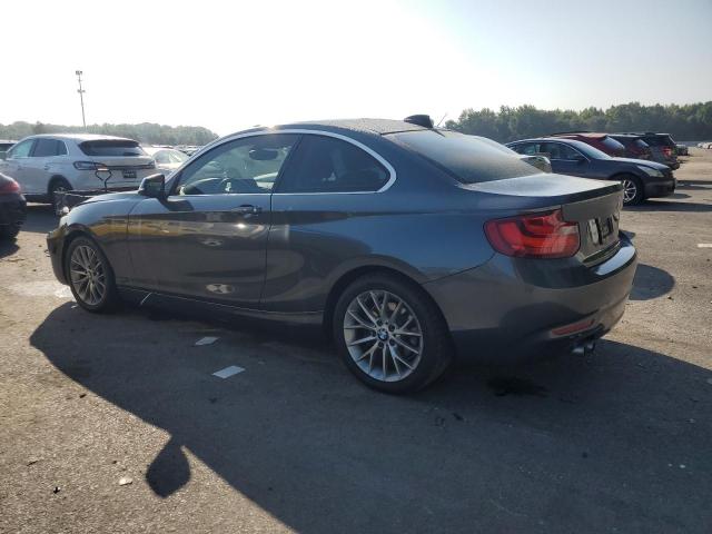 Photo 1 VIN: WBA1F5C55EV255791 - BMW 228 I 