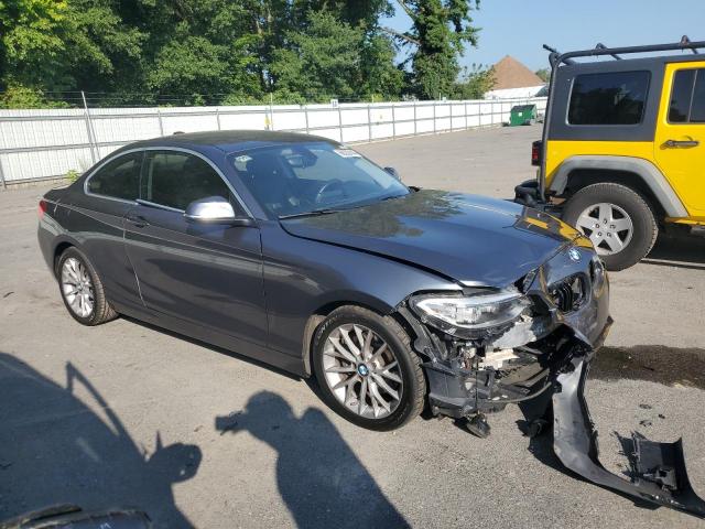 Photo 3 VIN: WBA1F5C55EV255791 - BMW 228 I 