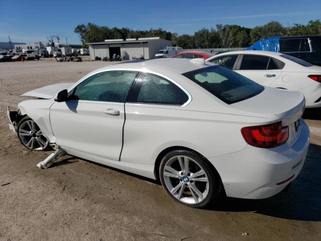 Photo 1 VIN: WBA1F5C55FV257445 - BMW 2 SERIES 