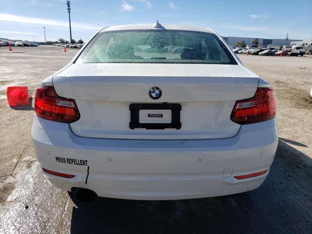 Photo 5 VIN: WBA1F5C55FV257445 - BMW 2 SERIES 