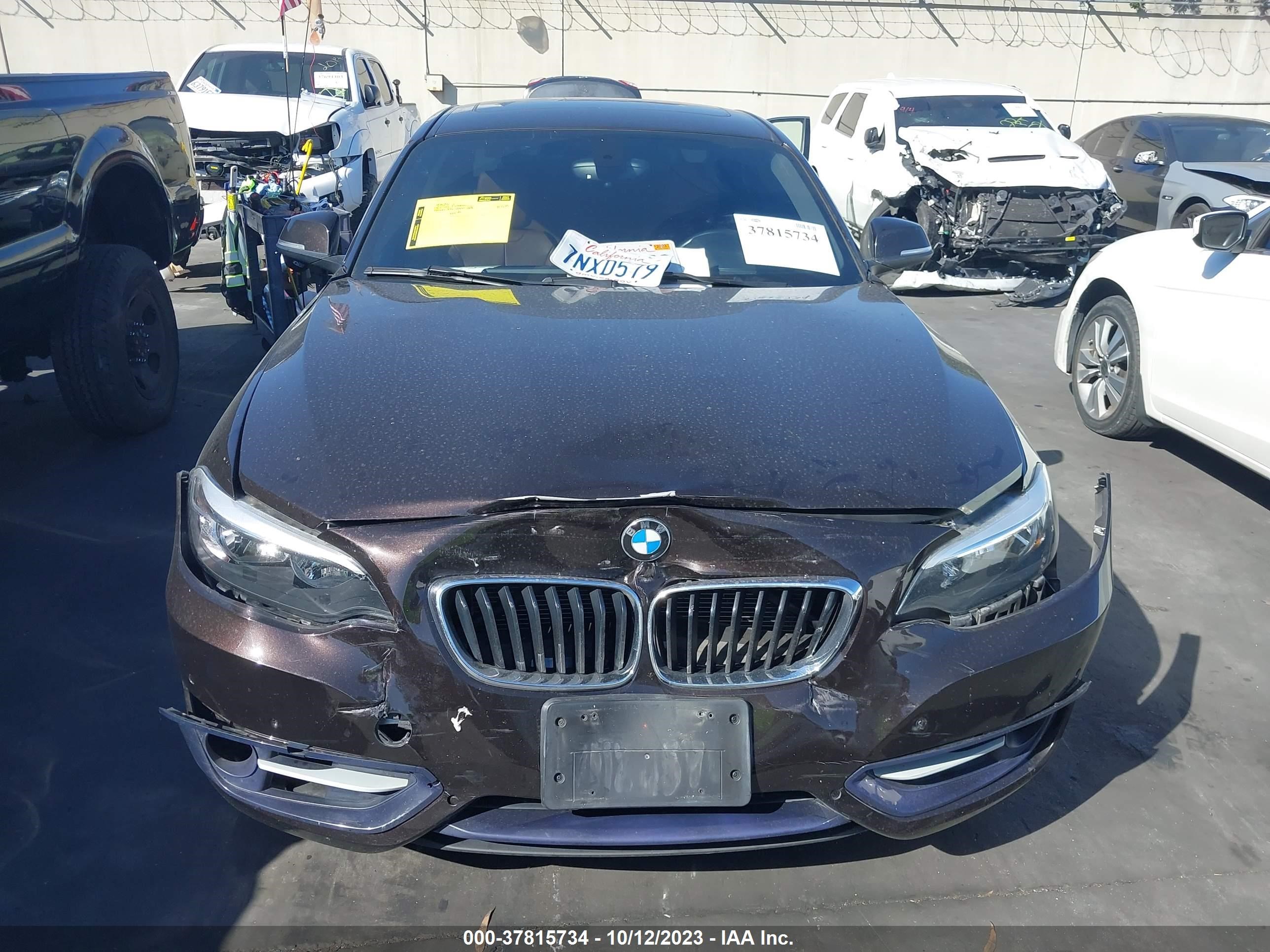 Photo 12 VIN: WBA1F5C55GV343761 - BMW 2ER 