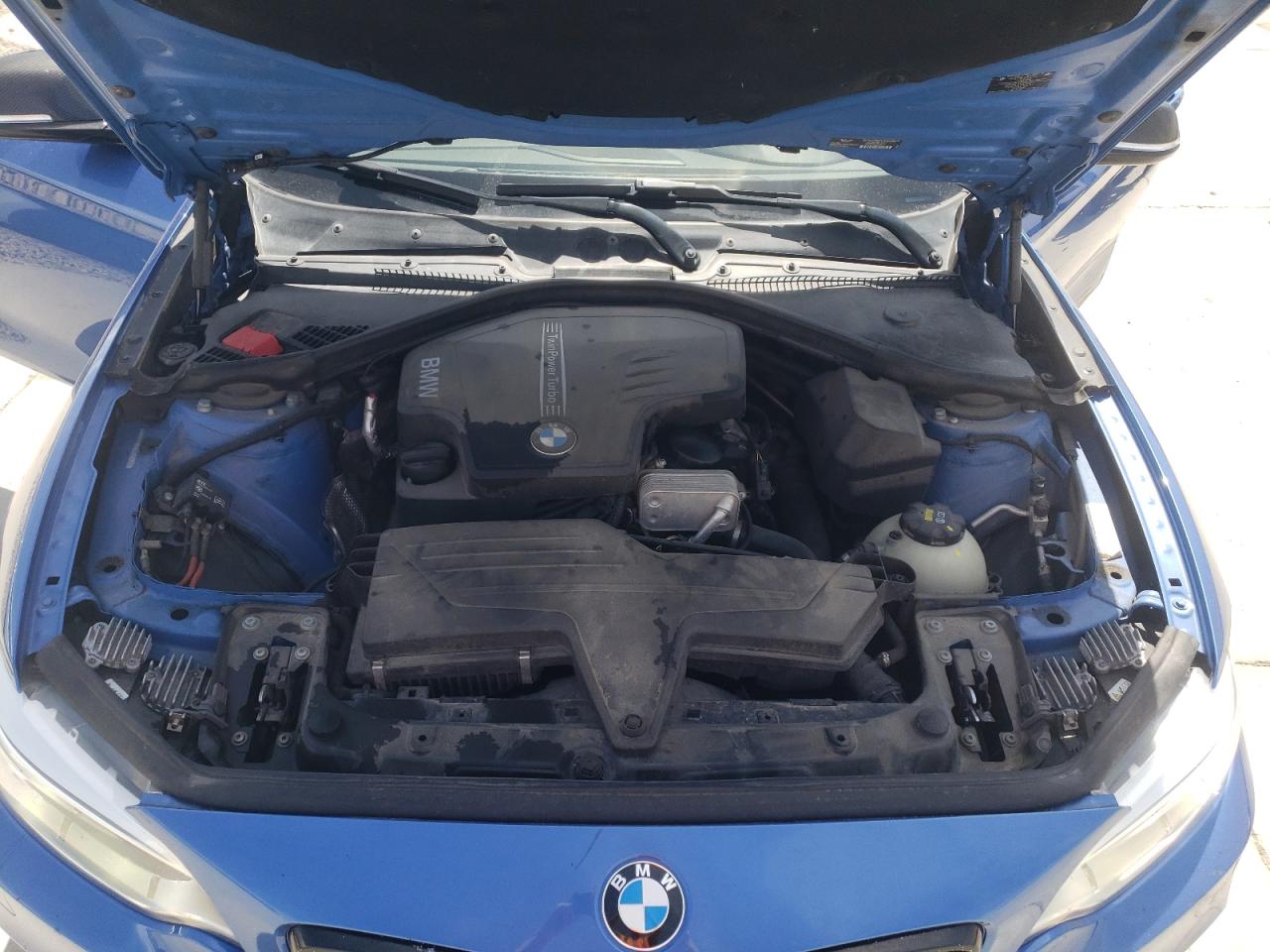 Photo 10 VIN: WBA1F5C56EV256058 - BMW 2ER 