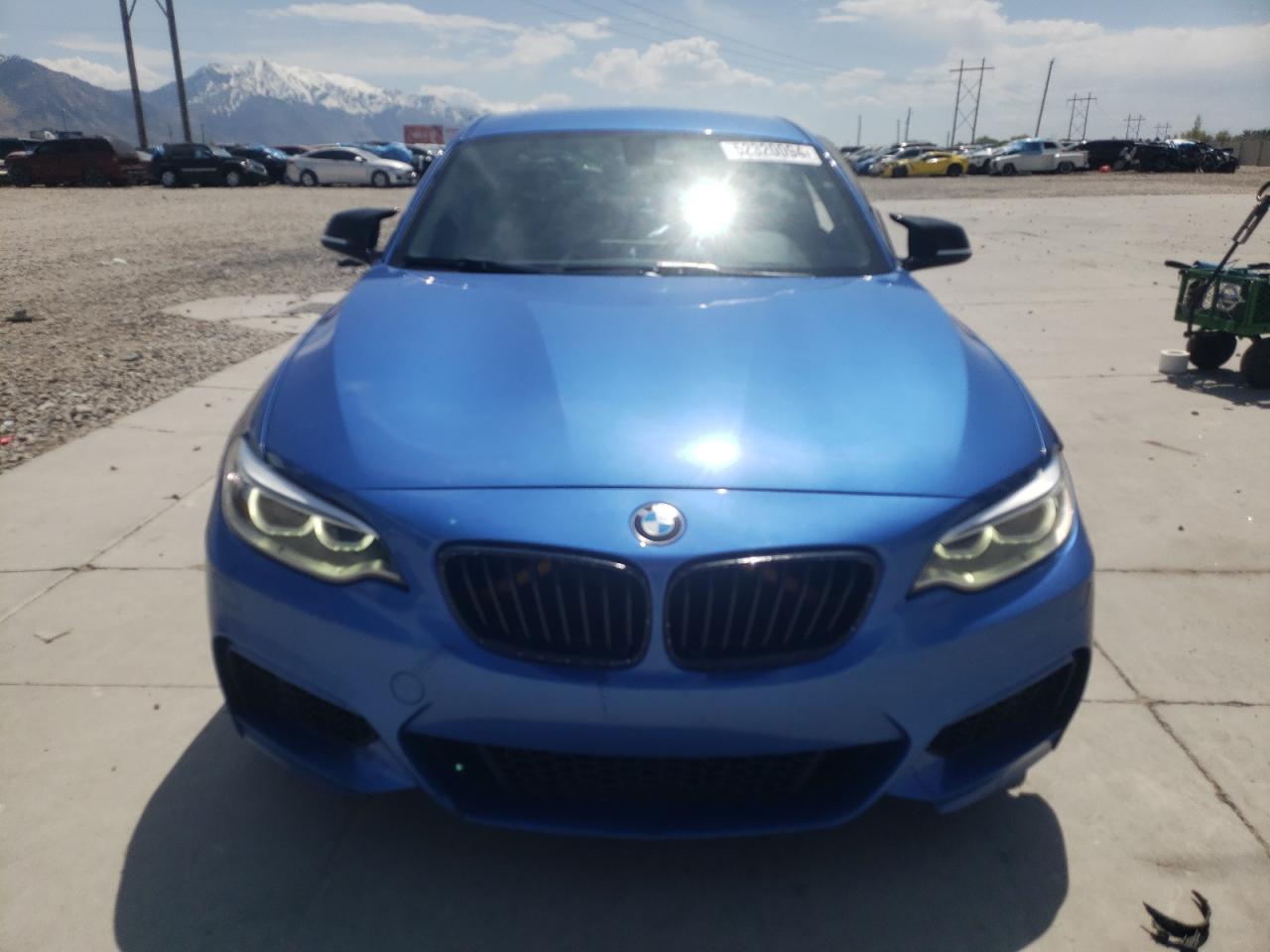 Photo 4 VIN: WBA1F5C56EV256058 - BMW 2ER 