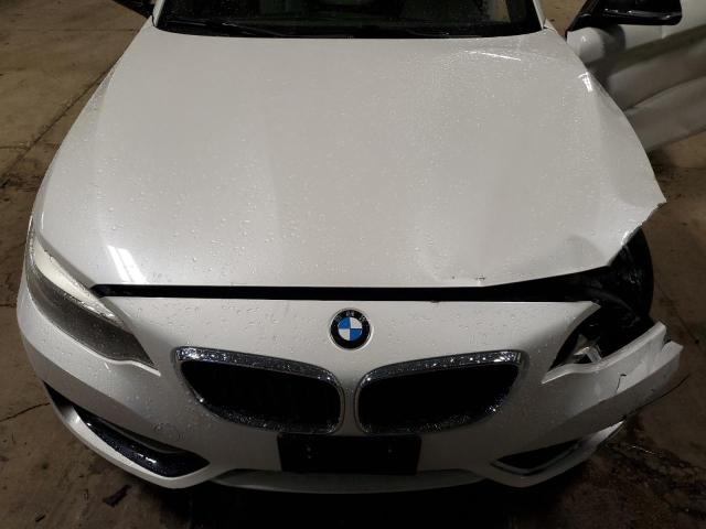 Photo 10 VIN: WBA1F5C57EV246414 - BMW 228 I 